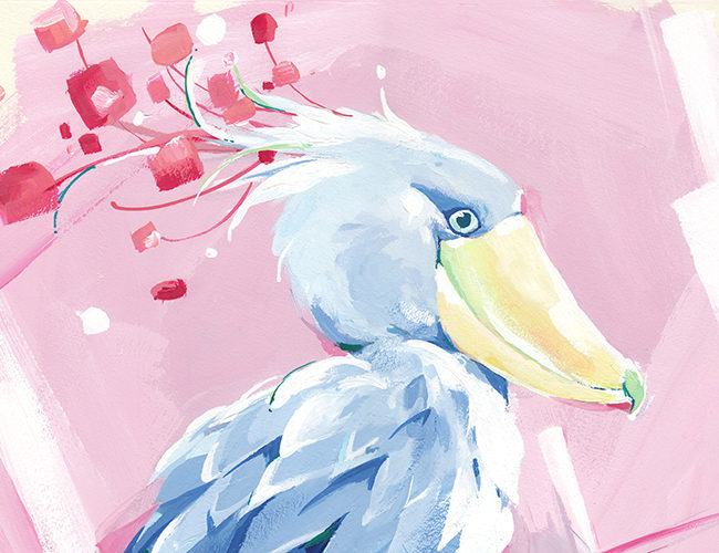 ハシビロスプリング